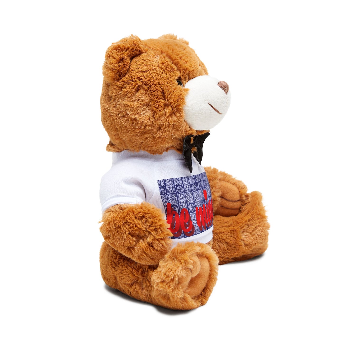 Valentine's Day Teddy Bear with 'Be Mine' T-Shirt